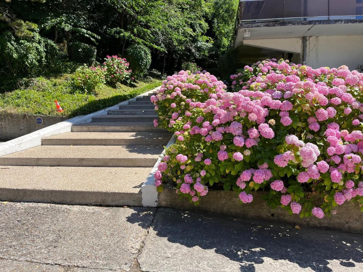 Trouville, Appartement Renove Avec Grande Terrasse Au Calme المظهر الخارجي الصورة